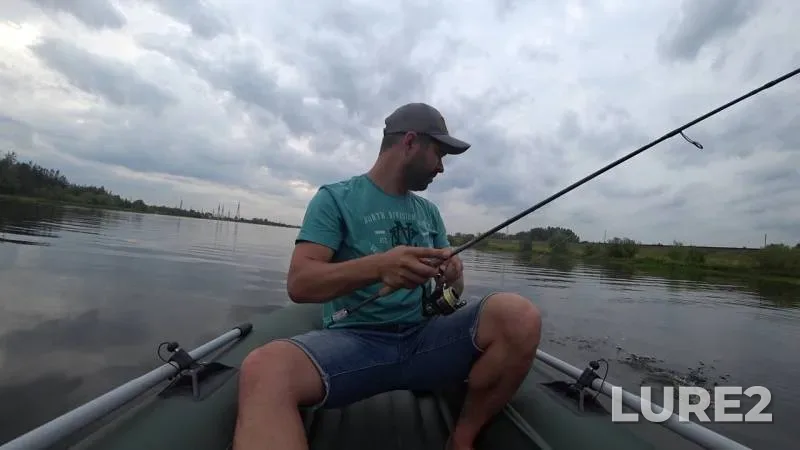 Perch, Pike — Volokhnitsa, Aug 11, 2018