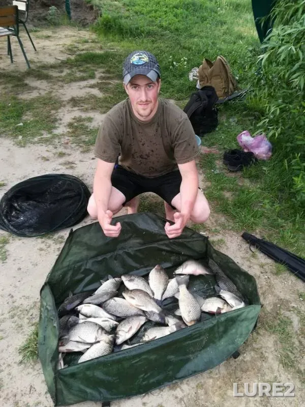 Carp, Crucian carp — Kiїvska oblast, May 10, 2018