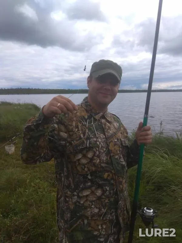 Bream, Perch — Leningradskaya oblast, Vsevolozhskiy rayon, Jul 07, 2019