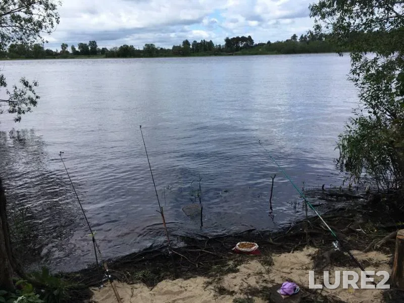 Perch — Volkhov, Jun 13, 2018