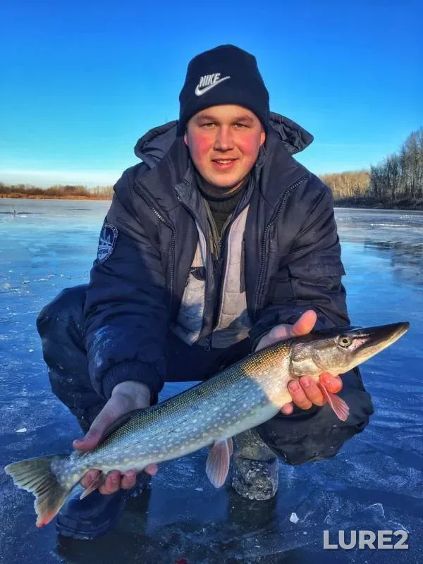 Perch, Pike — Staryy Klyuch, Nov 16, 2018