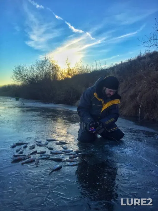 Perch, Roach — Ushna, Nov 13, 2018