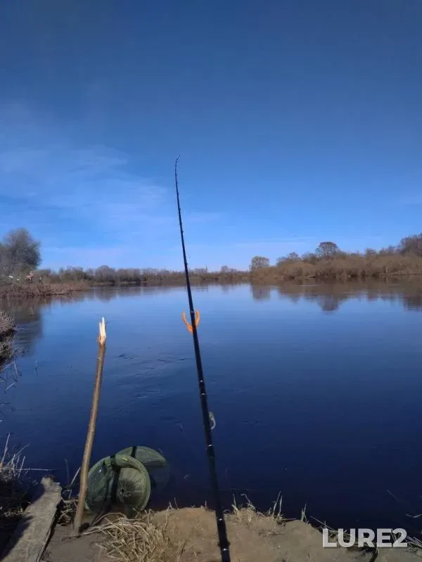 Roach, White bream — Luga, May 06, 2018