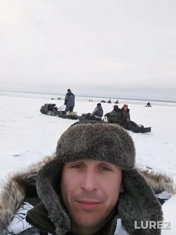Perch — Leningradskaya oblast, Kirovskiy rayon, Feb 18, 2018