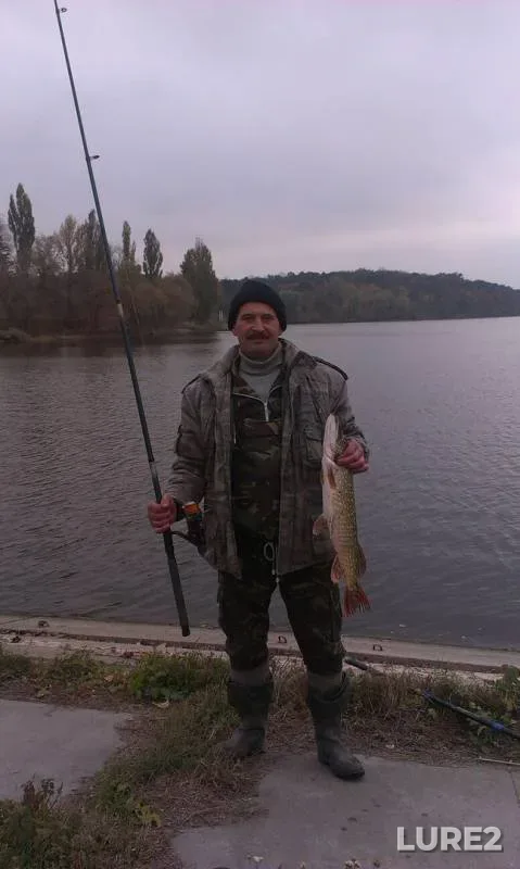 Pike — Kiїvska oblast, Oct 23, 2016