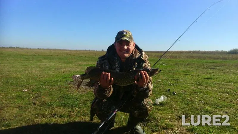 Pike — Volinska oblast, Oct 14, 2016