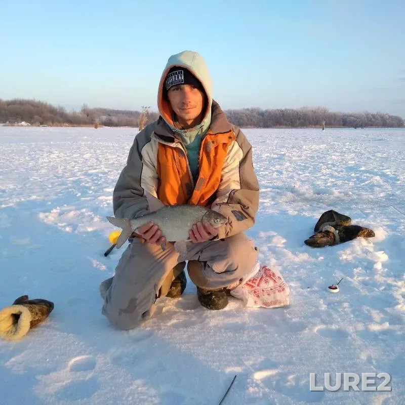 Bream — Poltavska oblast, Jan 16, 2019