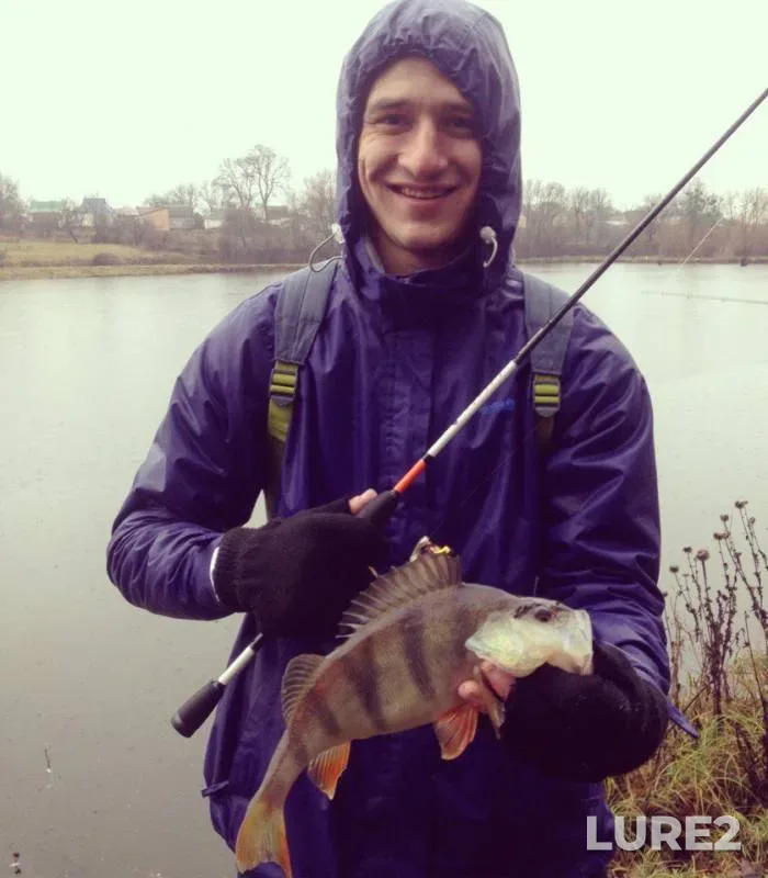 Perch — Poltavska oblast, Feb 24, 2018