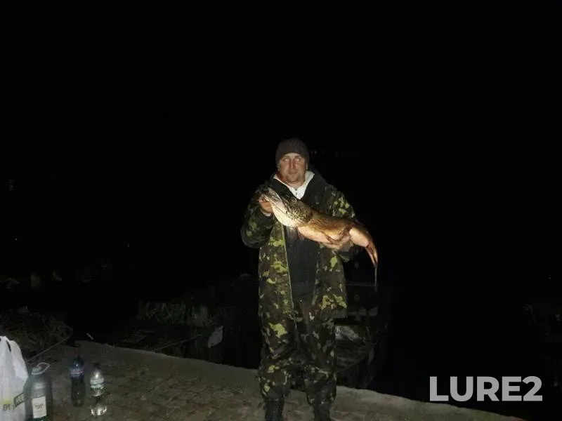 Pike — Vorskla, Oct 20, 2017
