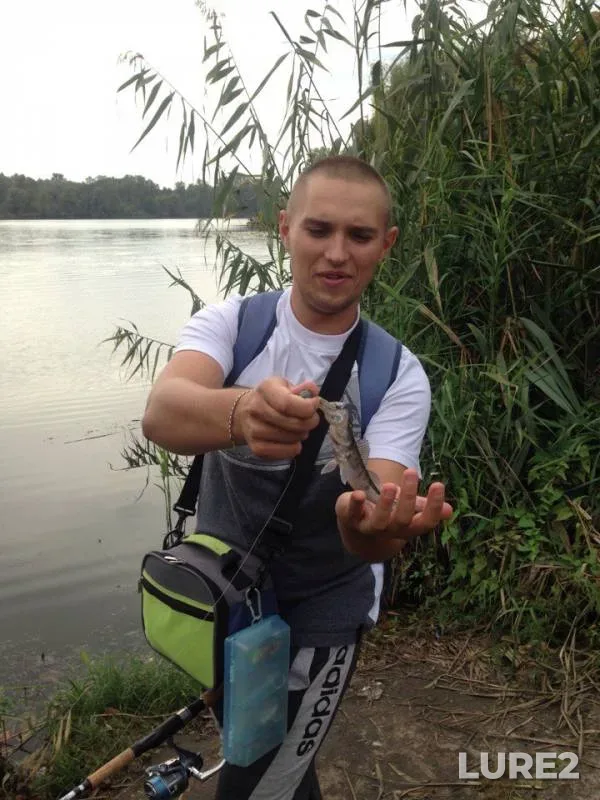 Perch, Pike — Vorskla, Sep 10, 2017