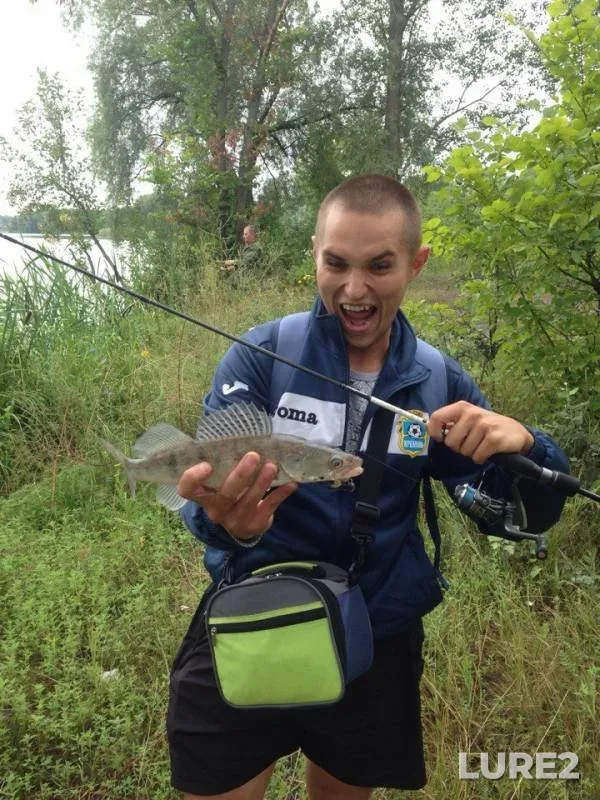 Perch, Zander — Vorskla, Jul 30, 2017
