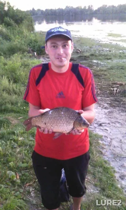 Crucian carp — Kiїvska oblast, Sep 09, 2016