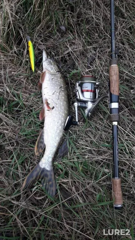 Pike — Bystraya Sosna, Oct 31, 2019