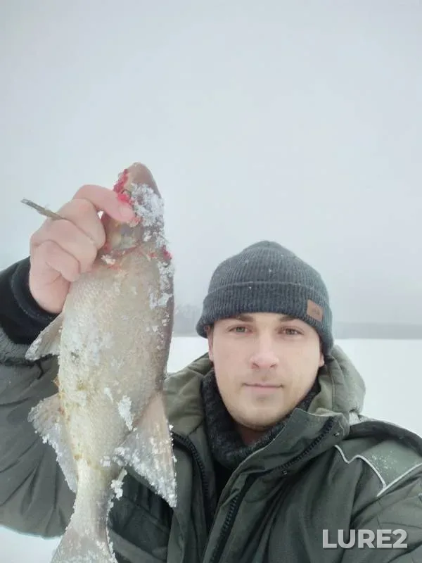Bream — Domkinskiy zaliv, Dec 29, 2018
