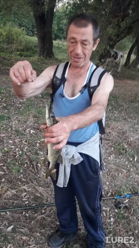 Pike — Bystraya Sosna, Sep 09, 2019