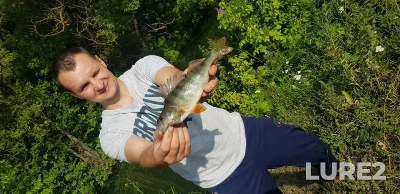 Perch — Livenka, Jul 23, 2019