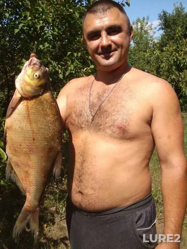 Bream — Bystraya Sosna, Jul 21, 2019