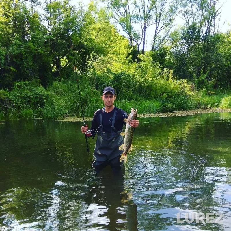 Pike — Tim, Jul 12, 2019