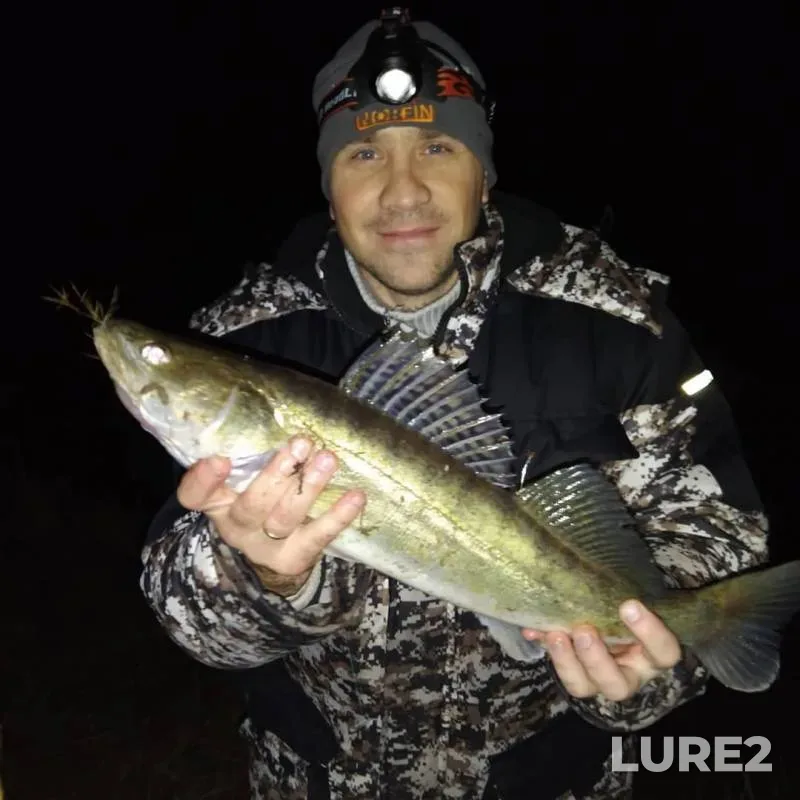 Burbot, Zander — Klyazma, Nov 13, 2019