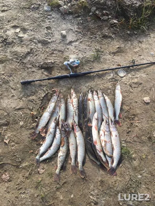 Pike — Vakh, Oct 10, 2019