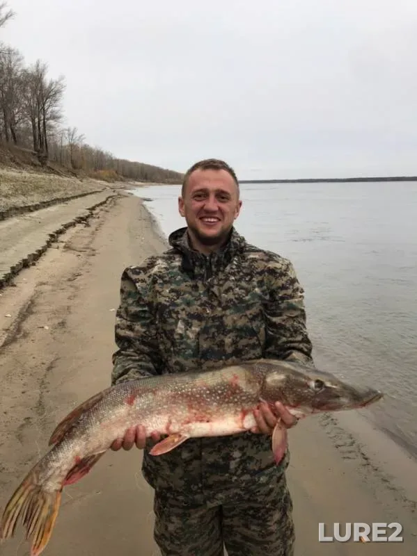 Pike — Ob, Sep 29, 2019