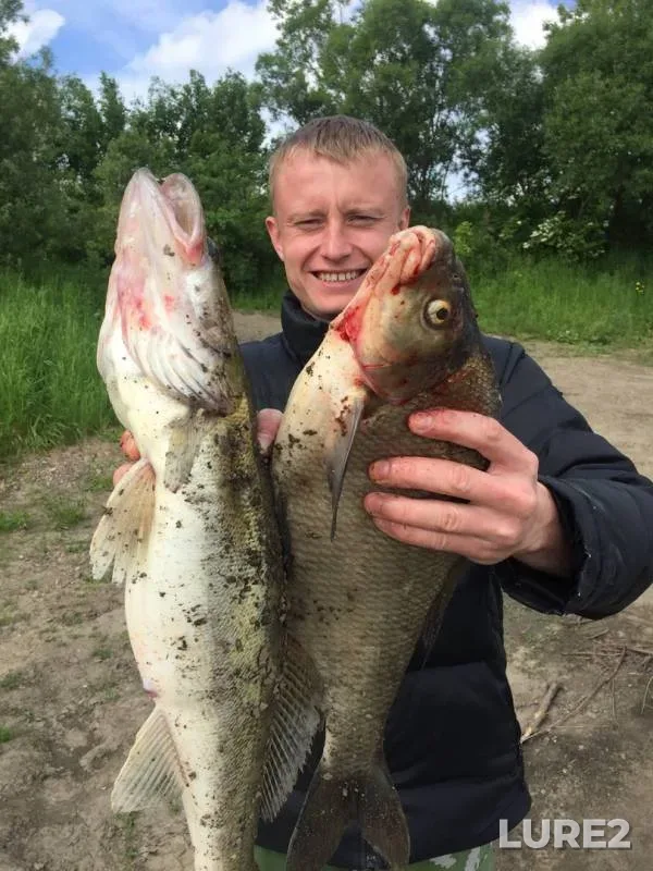 Bream, Zander — Tom, Jun 19, 2019