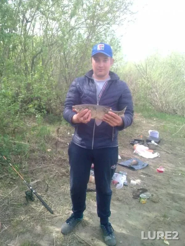 Bream, Ide — Tom, May 26, 2019