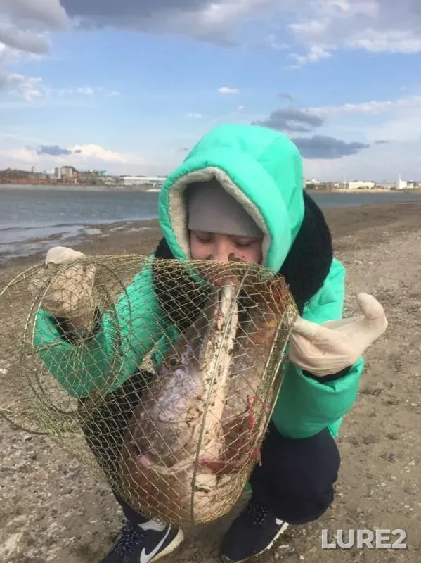 Pike — Tom, May 19, 2019