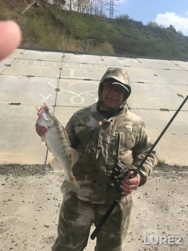 Zander — Tom, May 18, 2019
