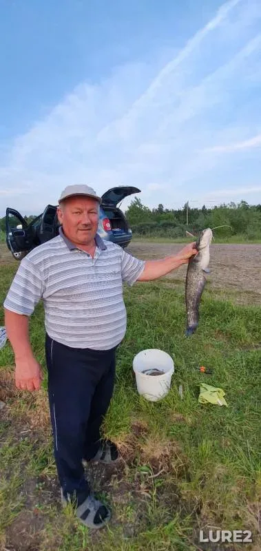 Wels catfish — Kama, Jun 11, 2019