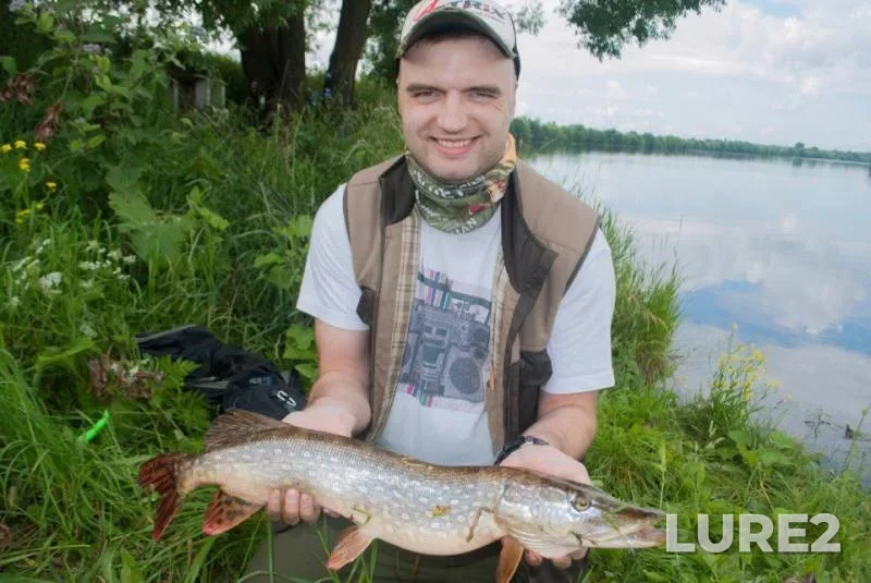 Perch, Pike — Moskva, Jul 21, 2017