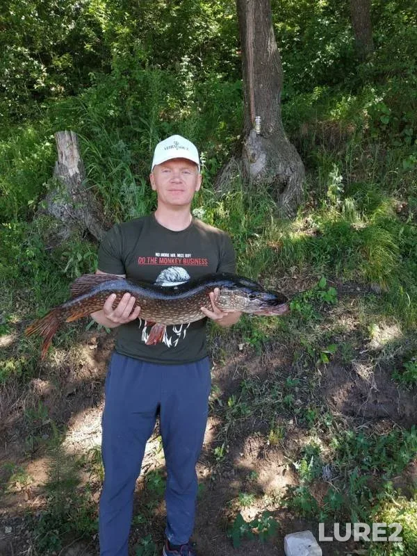 Pike — Kama, Jun 20, 2019