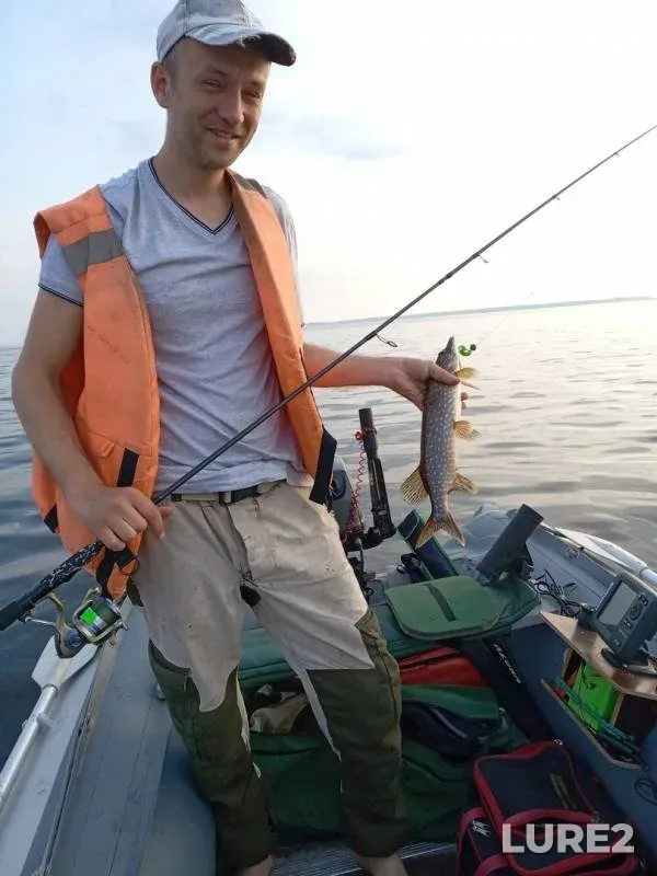 Perch, Pike — Myaksa, Jun 09, 2019