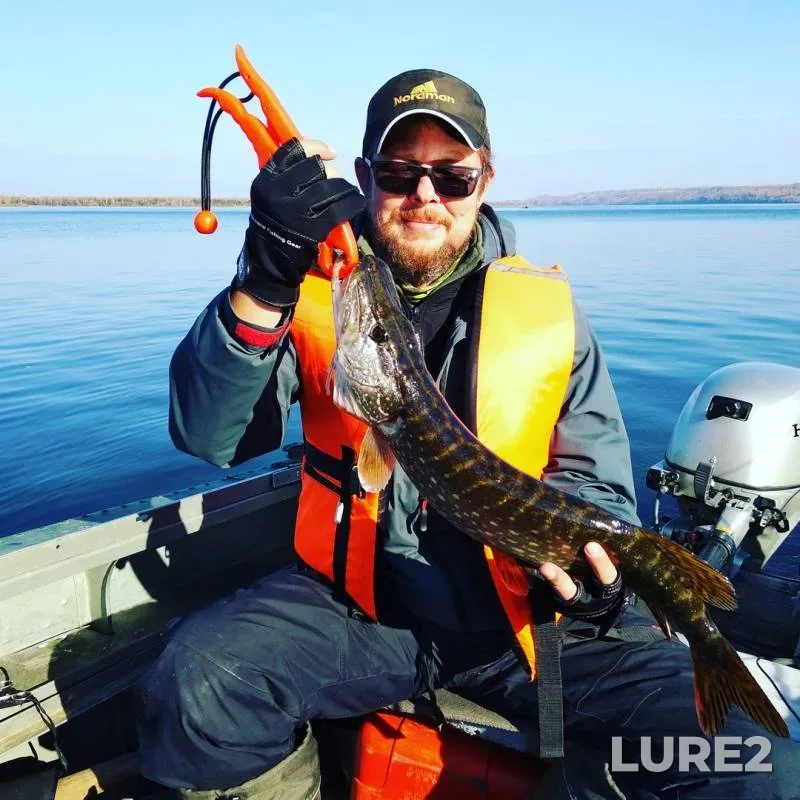 Pike — Volga, Oct 18, 2018