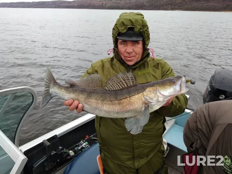 Zander — Volga, Nov 08, 2018