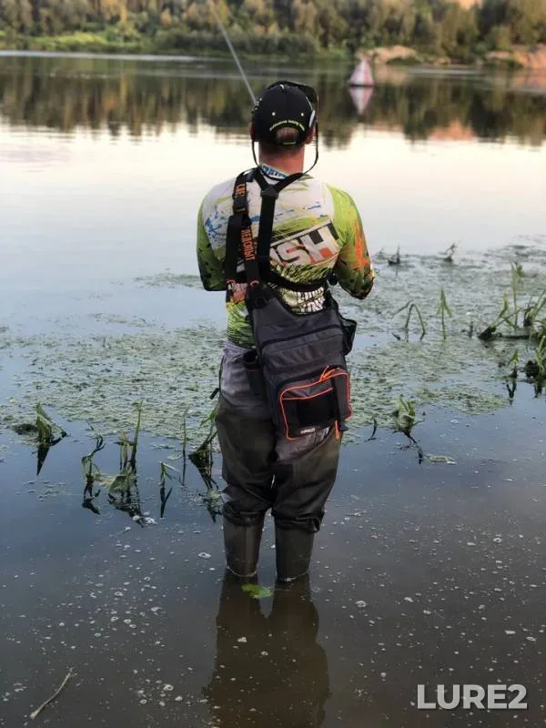 Perch — Oka, Aug 16, 2019