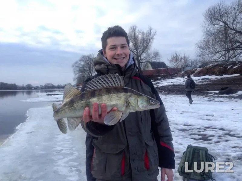 Zander — Moskva, Mar 06, 2017