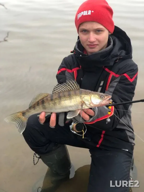 Zander — Moskva, Mar 11, 2019