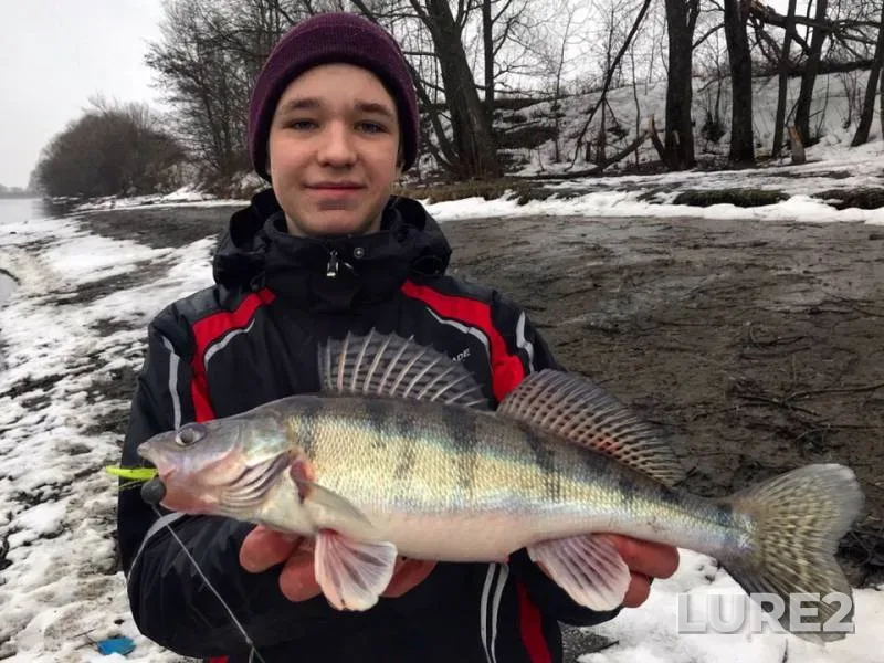 Perch — Moskva, Mar 24, 2019