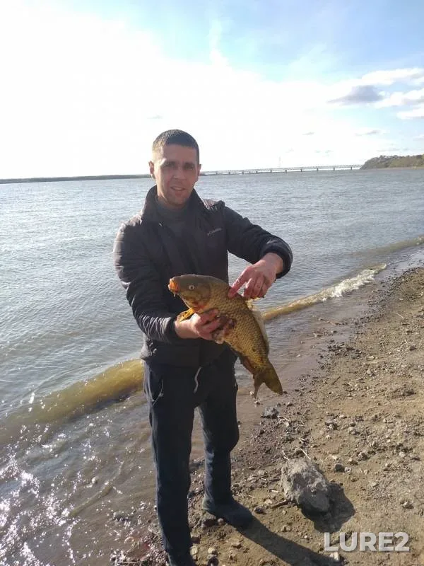 Crucian carp — Amur 黑龙江, May 10, 2019