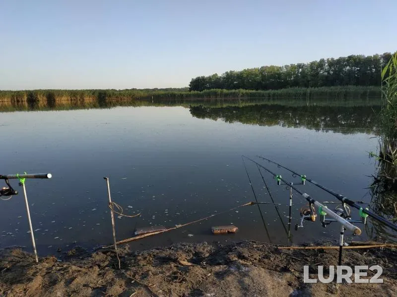 Crucian carp — Kochety, Aug 08, 2019