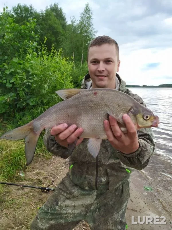 Bream — Volga, Jul 03, 2019