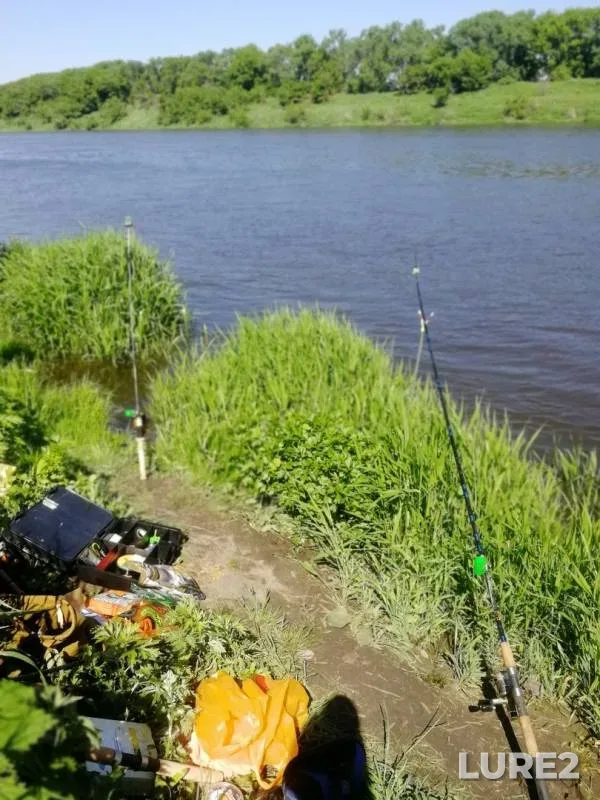 Bream — Don, May 18, 2019