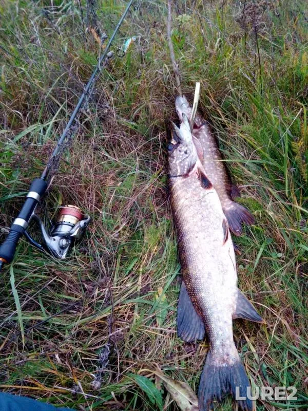 Pike — Tmaka, Oct 26, 2019