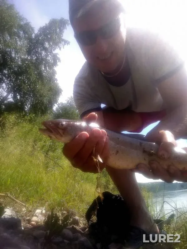 Pike — Kan, Jul 10, 2019