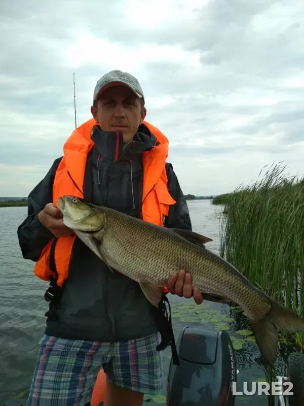 Asp — Samarskaya oblast, Aug 11, 2019
