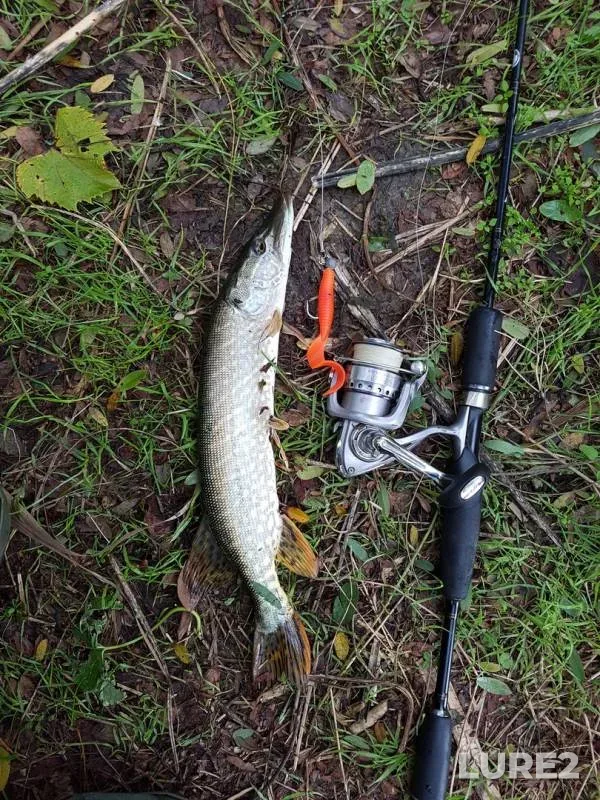 Pike — Krivoye, Oct 13, 2016
