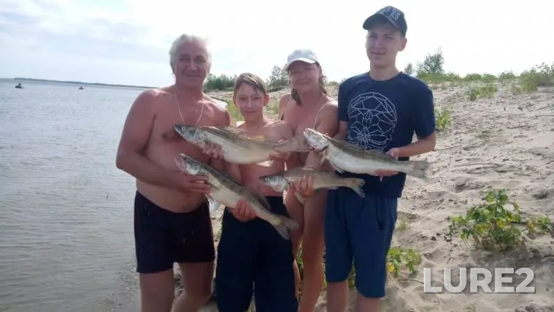 Pike, Zander — Volga, Sep 01, 2019
