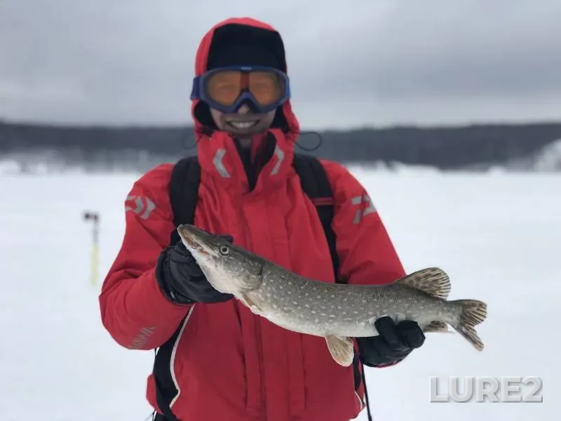 Pike — Kama, Feb 04, 2018