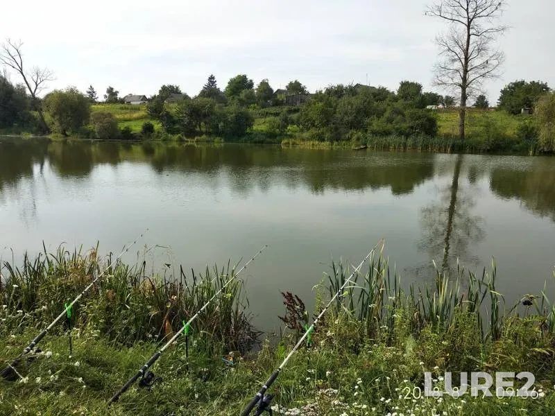 Crucian carp — Zhitomirska oblast, Aug 18, 2018